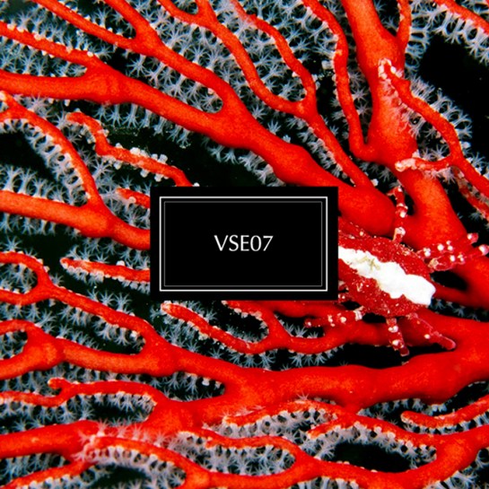 1778-rsz_vse07_103012