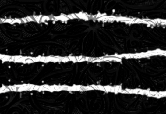 dro carey - vital trails