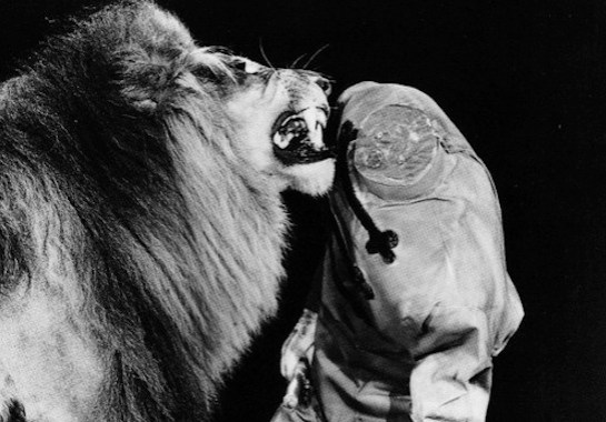 anthony-naples-perro