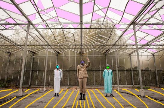 cairo-liberation-front